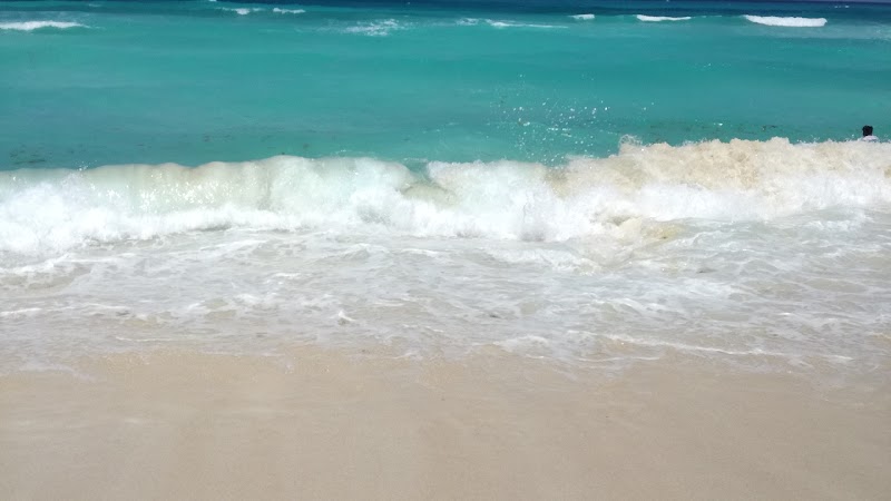 A New Life Sober Living House