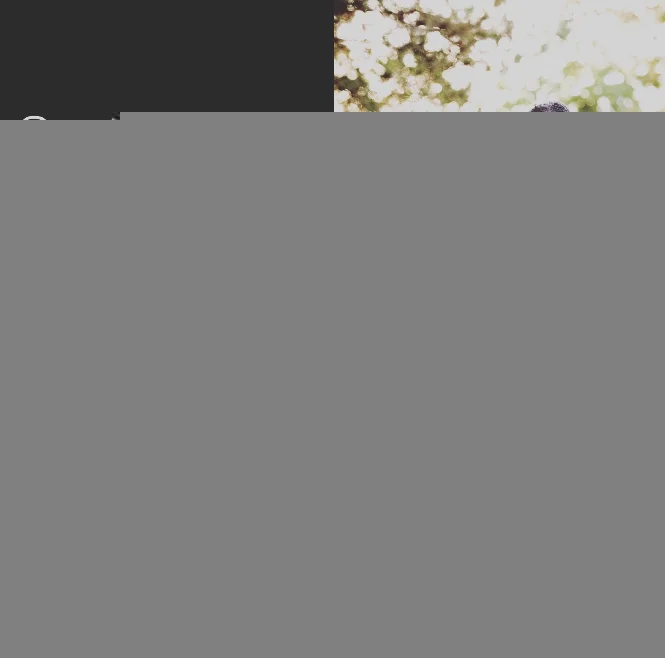 South Florida Intervention for Drug & Alcohol Addiction