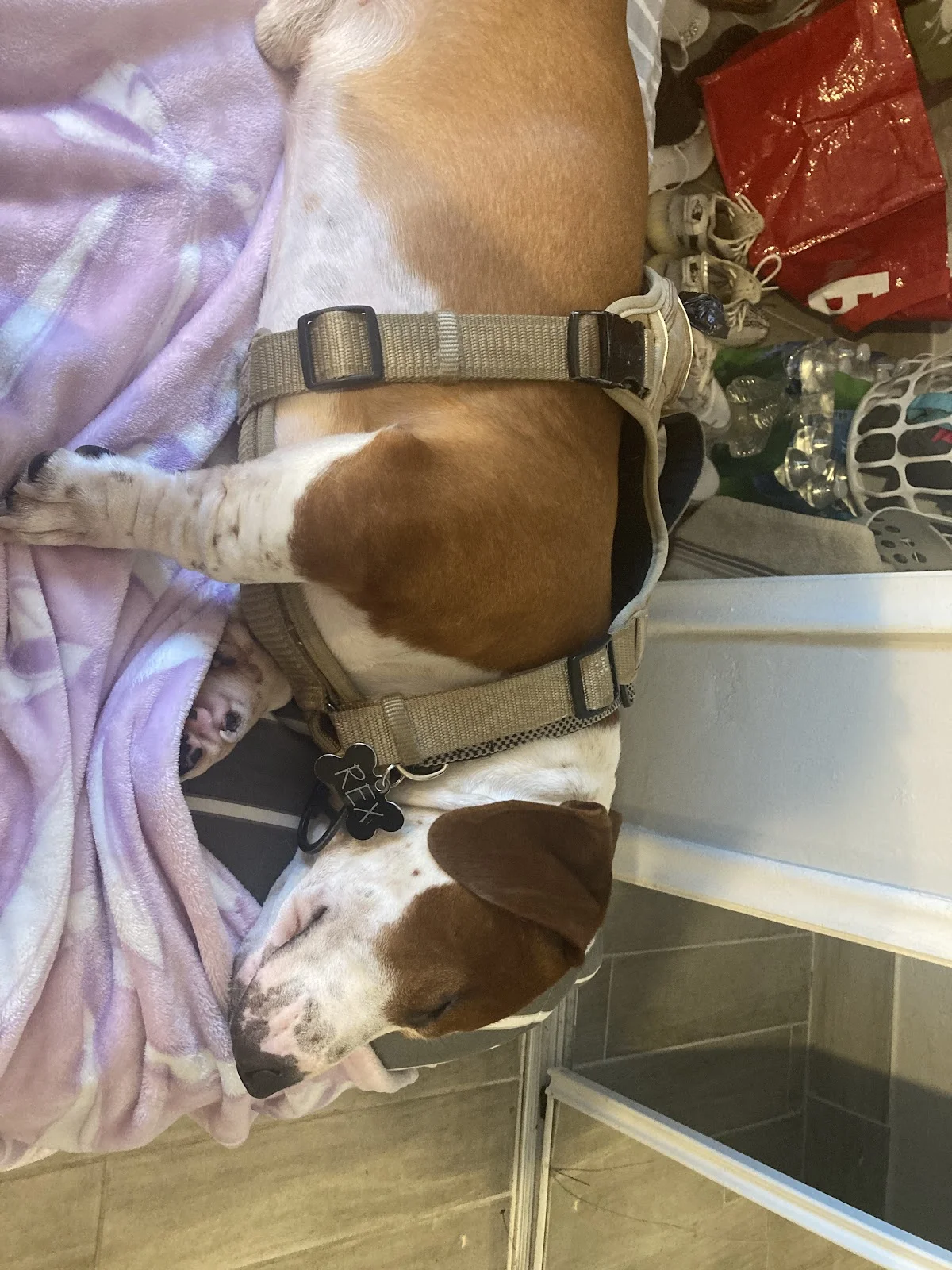 JC’s Recovery Center | Drug & Alcohol Treatment