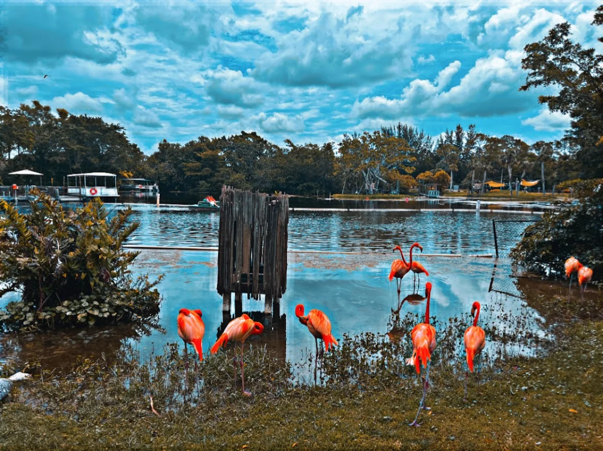 Renaissance Recovery - Palm Beach