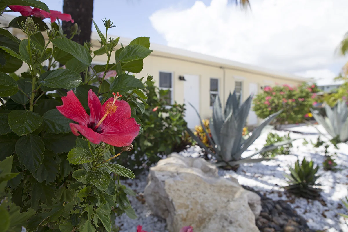 Intrepid Recovery Centers - Delray Beach facility photo