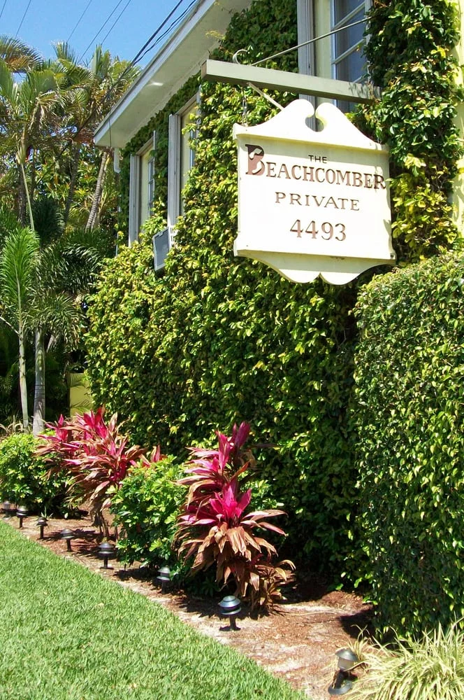 The Beachcomber Recovery