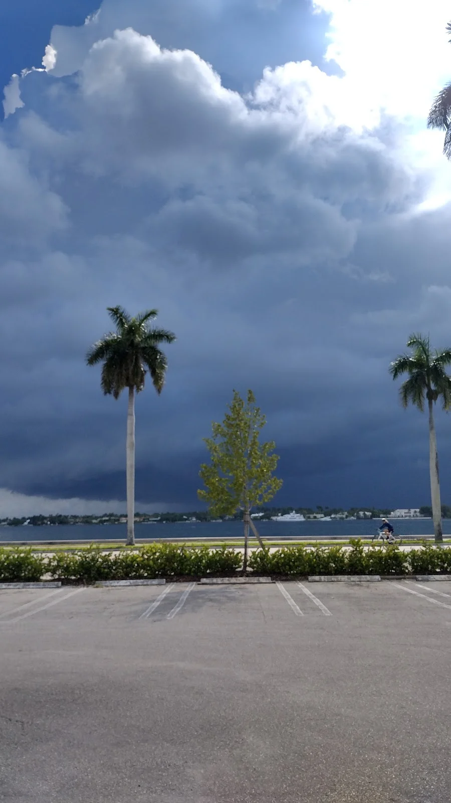 South County Mental Health Center