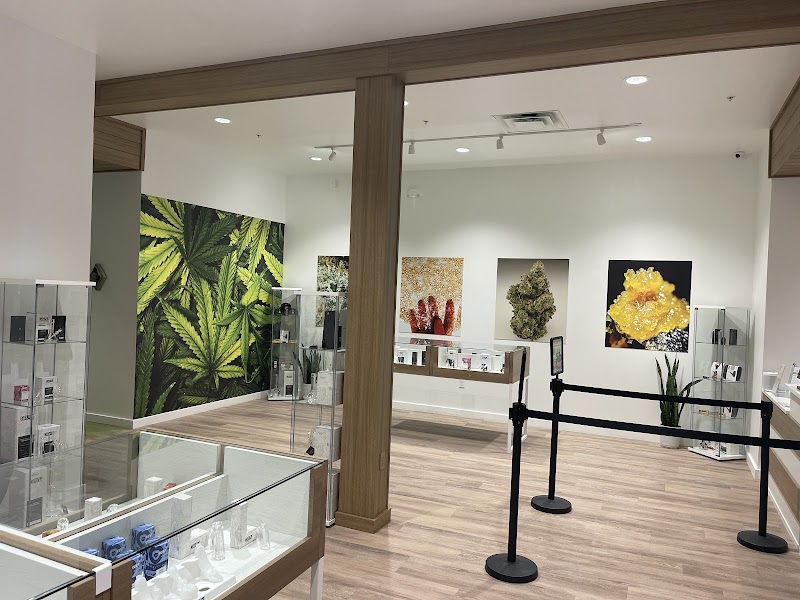 Sanctuary In Delray Beach - Photo 4